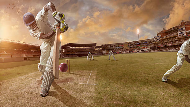 Trading Wickets for Stripes: Cricket and Tiger Exchange Unveiled!