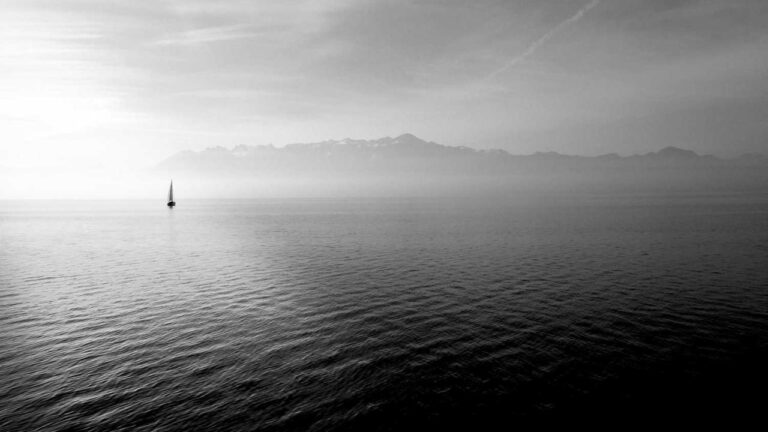 How To Locate My 99Exch Account Number Online?